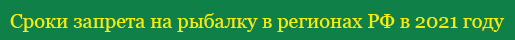 Сроки запрета на рыбалку в 2021 году