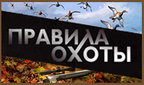 Закон и охота