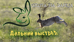 Охота на зайца