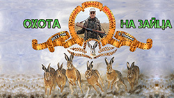 Охота на зайца