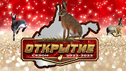 Охота на зайца