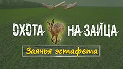 Охота на зайца