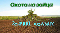 Охота на зайца