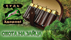 Охота на зайца