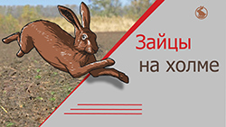 Охота на зайца