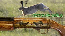 Охота на зайца