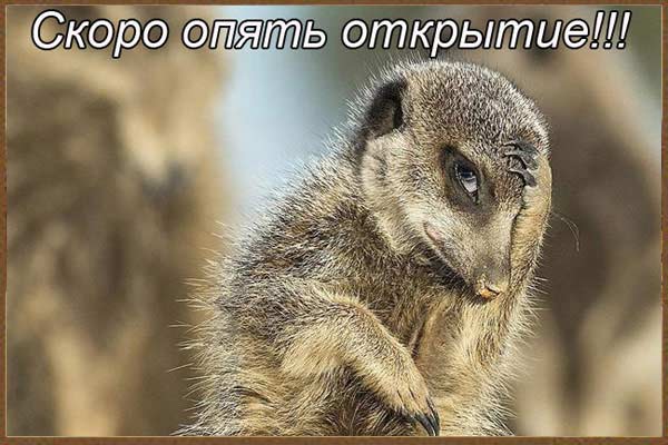 Охотничий юмор