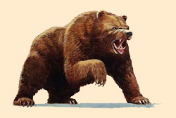 Trophy hunting Trophy hunting