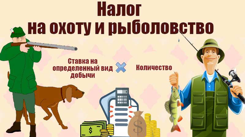 налоги для охотников